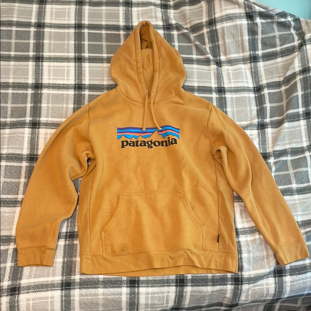 Patagonia Tan Sweatshirt Hoodie Classic Design